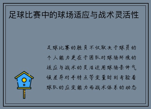 足球比赛中的球场适应与战术灵活性